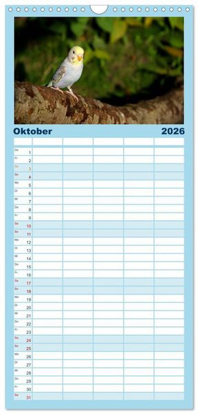 Produktbild: Familienplaner 2026 - Wellensittichtr&auml;ume - Der neue Wellensittich-Naturkalender mit 5 Spalten (Wandkalender, 21 x 45 cm) CALVENDO