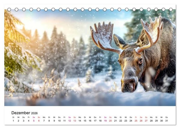 Produktbild: Elche - die Stimme der Wildnis (Tischkalender 2026 DIN A5 quer), CALVENDO Monatskalender