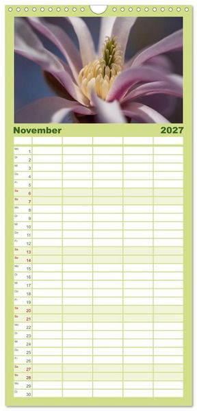 Produktbild: Familienplaner 2027 - Fr&uuml;hlingsbl&uuml;her - Farbenpracht nach dem Winter mit 5 Spalten (Wandkalender, 21 x 45 cm) CALVENDO