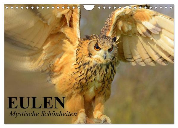 Produktbild: Eulen. Mystische Sch&ouml;nheiten (Wandkalender 2026 DIN A4 quer), CALVENDO Monatskalender