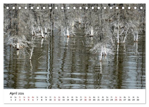 Produktbild: Unendlichkeit in Alaska und Yukon (Tischkalender 2026 DIN A5 quer), CALVENDO Monatskalender