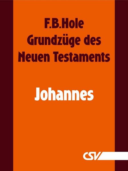 Produktbild: Grundz&uuml;ge des Neuen Testaments - Johannes