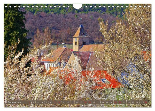 Produktbild: Mandelbl&uuml;tenzauber an der Deutschen Weinstra&szlig;e (Wandkalender 2026 DIN A4 quer), CALVENDO Monatskalender