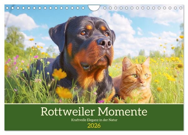 Produktbild: Rottweiler Momente. Kraftvolle Eleganz in der Natur (Wandkalender 2026 DIN A4 quer), CALVENDO Monatskalender