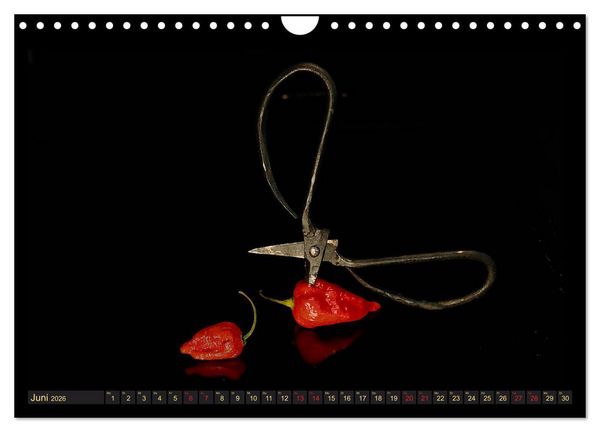 Produktbild: Scharfe Chili Fantasien - Creative Food Design (Wandkalender 2026 DIN A4 quer), CALVENDO Monatskalender