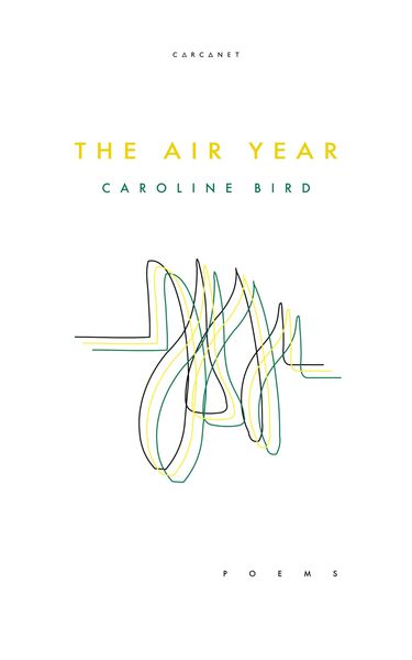 Produktbild: The Air Year