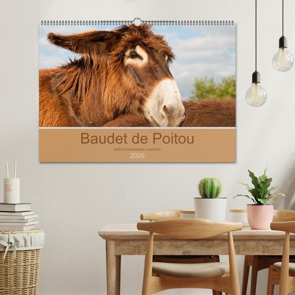 Produktbild: Baudet de Poitou - Seltene franz&ouml;sische Langohren (Wandkalender 2026 DIN A2 quer), CALVENDO Monatskalender