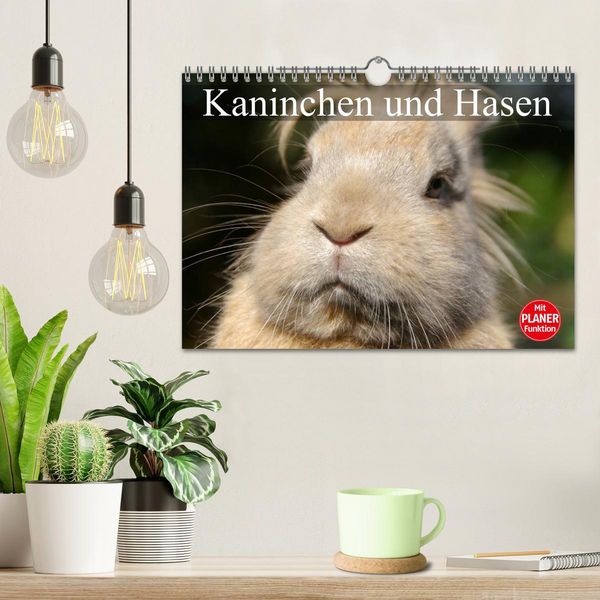 Produktbild: Kaninchen und Hasen (Wandkalender 2026 DIN A4 quer), CALVENDO Monatskalender
