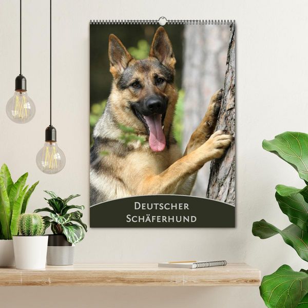 Produktbild: Deutscher Sch&auml;ferhund (Wandkalender 2026 DIN A2 hoch), CALVENDO Monatskalender