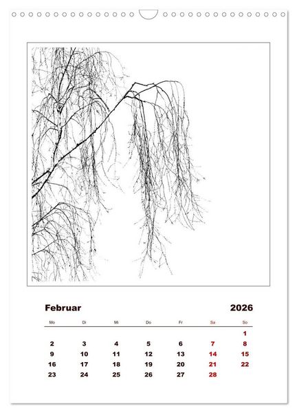 Produktbild: LignoGrafica - Muster und Strukturen der B&auml;ume (Wandkalender 2026 DIN A3 hoch), CALVENDO Monatskalender
