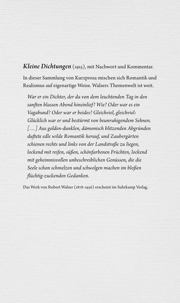 Produktbild: Werke. Berner Ausgabe