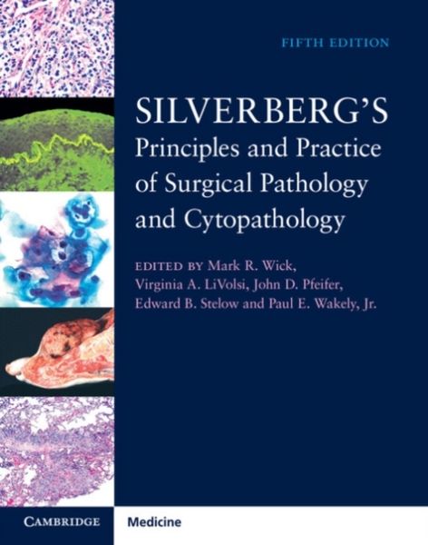 Produktbild: Silverberg's Principles and Practice of Surgical Pathology and Cytopathology 4 Volume Set with Online Access