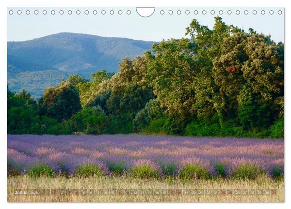 Produktbild: Lavendel. Der Duft der Provence (Wandkalender 2026 DIN A4 quer), CALVENDO Monatskalender