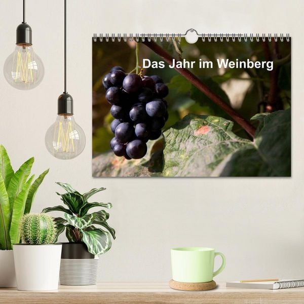 Produktbild: Das Jahr im Weinberg (Wandkalender 2026 DIN A4 quer), CALVENDO Monatskalender