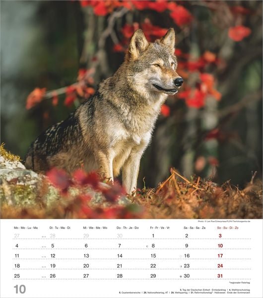 Produktbild: Mythos Wolf 2027