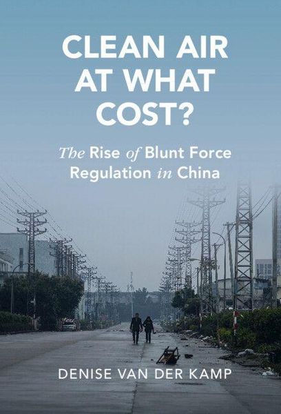 Produktbild: Clean Air at What Cost?