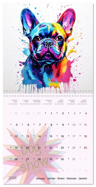 Produktbild: Dog show (Wall Calendar 2026 12 &times; 12 Inch) CALVENDO 12 Month Wall Calendar