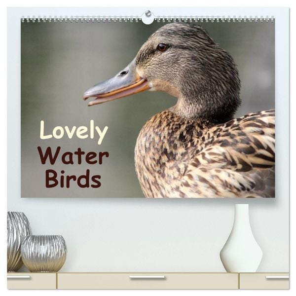 Produktbild: Lovely Water Birds (High Quality Premium Wall Calendar 2027 DIN A2 landscape),CALVENDO 12 Month Wall Calendar