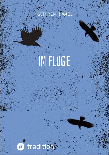 Produktbild: Im Fluge