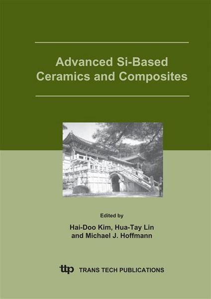 Produktbild: Advanced Si-Based Ceramics and Composites