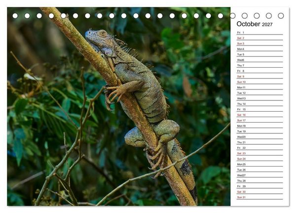 Produktbild: Feel the Wild &ndash; Costa Rica (Desk Calendar 2027 DIN A5 landscape), CALVENDO 12 Month DeskCalendar