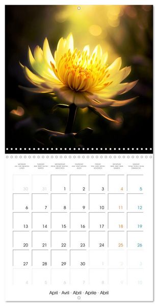Produktbild: &Eacute;clats naturels (Calendrier mural carr&eacute; 2026 30x30 cm) Calendrier double avec une page pour vos prises de notes
