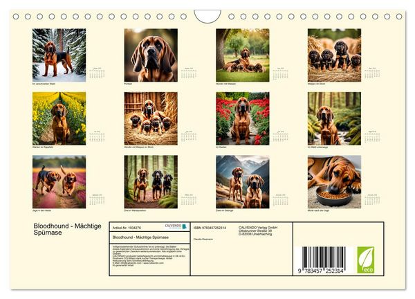 Produktbild: Bloodhound - M&auml;chtige Sp&uuml;rnase (Wandkalender 2026 DIN A4 quer), CALVENDO Monatskalender