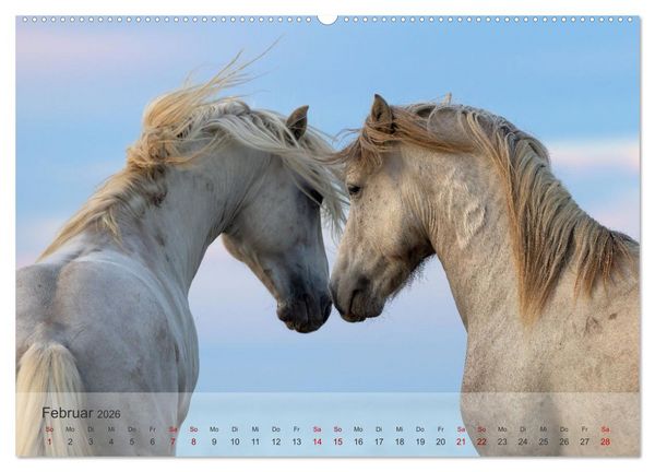 Produktbild: Die wei&szlig;en Pferde der Camargue (hochwertiger Premium Wandkalender 2026 DIN A2 quer), Kunstdruck in Hochglanz