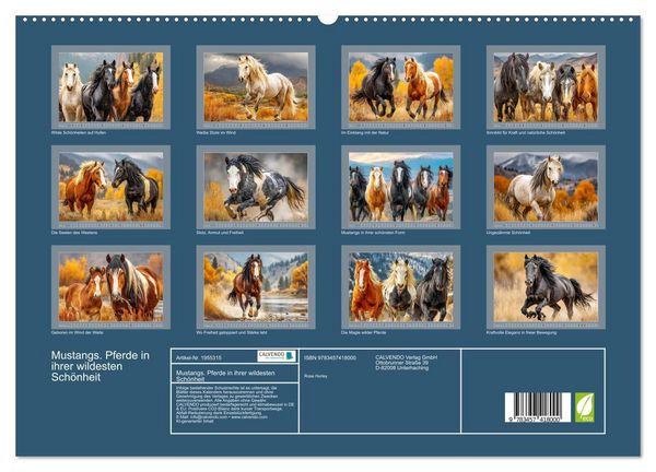 Produktbild: Mustangs. Pferde in ihrer wildesten Sch&ouml;nheit (hochwertiger Premium Wandkalender 2026 DIN A2 quer), Kunstdruck in Hochglanz