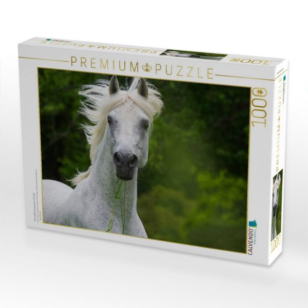Produktbild: CALVENDO Puzzle Traumpferd Lipizzaner Portr&auml;t | 1000 Teile Lege-Gr&ouml;&szlig;e 64x48cm Foto-Puzzle f&uuml;r gl&uuml;ckliche Stunden