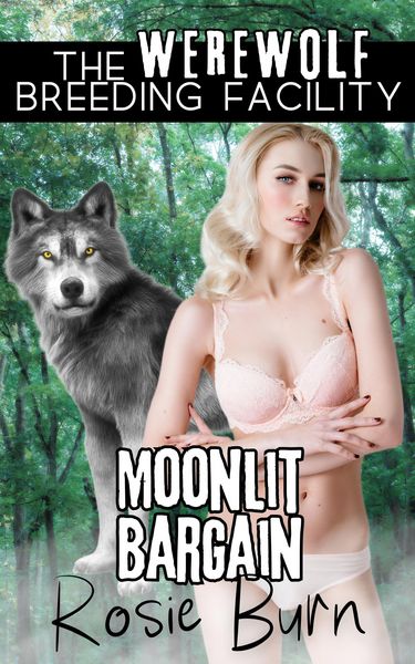Produktbild: Moonlit Bargain (Werewolf Breeding Facility)
