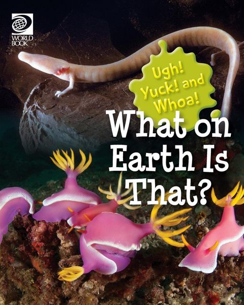 Produktbild: What on Earth Is That?