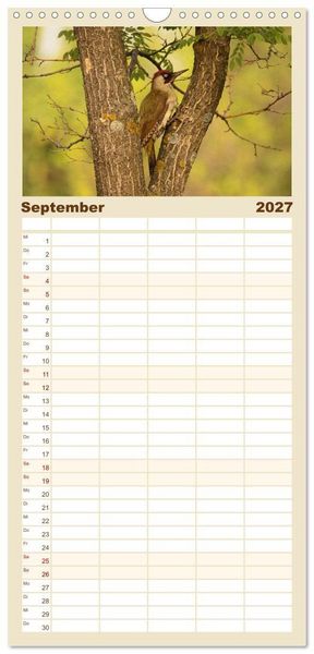 Produktbild: Familienplaner 2027 - V&ouml;gel ganz nah mit 5 Spalten (Wandkalender, 21 x 45 cm) CALVENDO