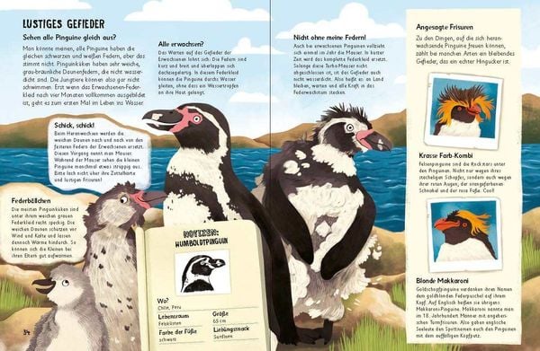 Produktbild: Was f&uuml;r Sachen Pinguine machen