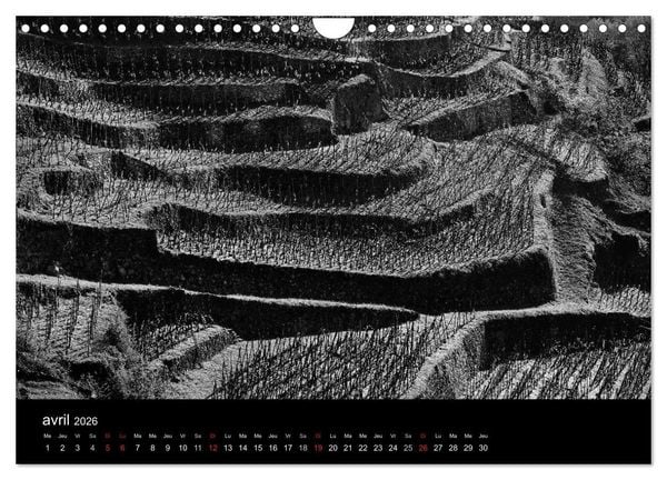 Produktbild: VIGNES DU SUD terroirs d'AOC (Calendrier mural 2026 DIN A4 vertical), CALVENDO calendrier mensuel
