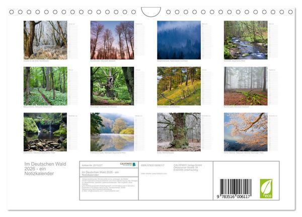 Produktbild: Im Deutschen Wald 2026 - ein Notizkalender (Wandkalender 2026 DIN A4 quer), CALVENDO Monatskalender