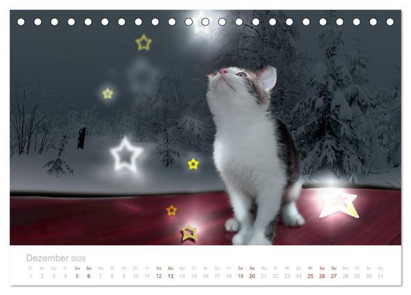 Produktbild: Katzenbabys beobachtet (Tischkalender 2026 DIN A5 quer), CALVENDO Monatskalender