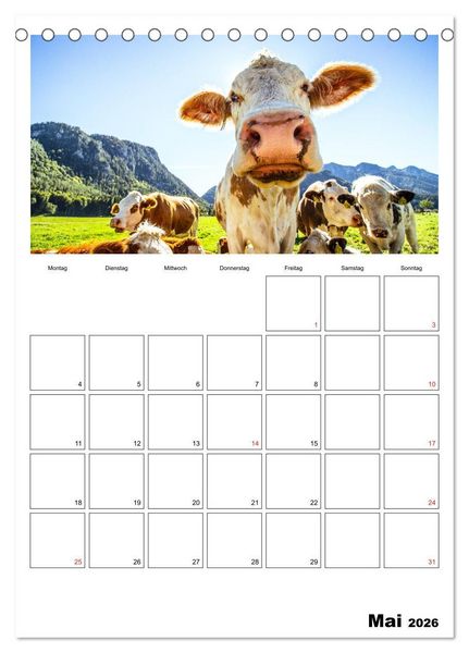 Produktbild: Bayerische Bergwelten (Tischkalender 2026 DIN A5 hoch), CALVENDO Monatskalender