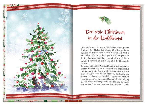 'Die Schönsten Weihnachtsgeschichten' Von '' - Buch - '978-3-7666-3596-9'