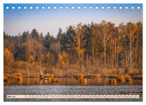 Produktbild: Herbst im Schwenninger Moos (Tischkalender 2026 DIN A5 quer), CALVENDO Monatskalender