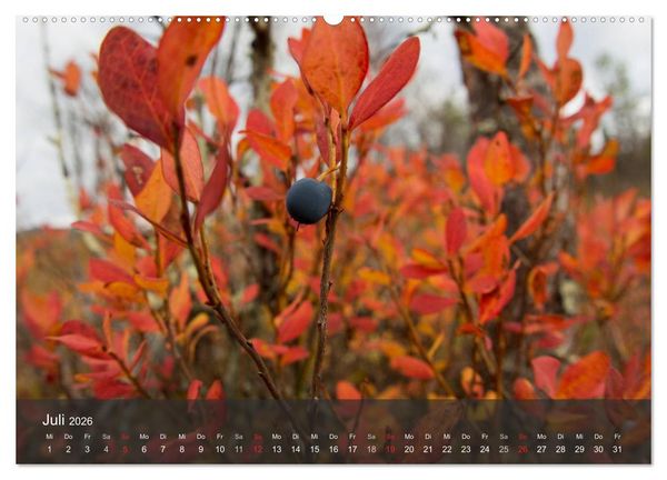 Produktbild: Lappland 2026 (Wandkalender 2026 DIN A2 quer), CALVENDO Monatskalender