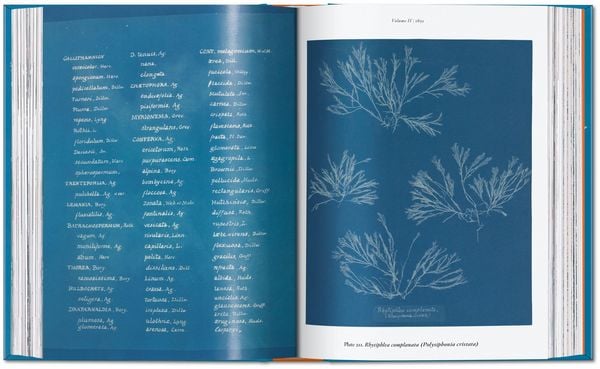 Produktbild: Anna Atkins