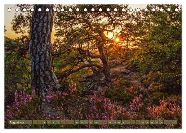 Produktbild: Augenschmaus Pf&auml;lzer Wald (Tischkalender 2026 DIN A5 quer), CALVENDO Monatskalender