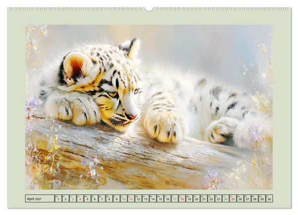 Produktbild: Schneeleoparden. Babys in der leuchtenden Natur (hochwertiger Premium Wandkalender 2027 DIN A2 quer), Kunstdruck in Hochglanz