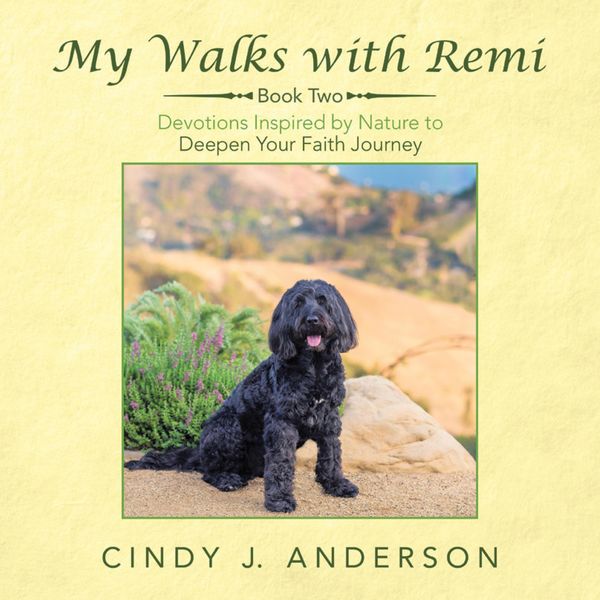 Produktbild: My Walks with Remi