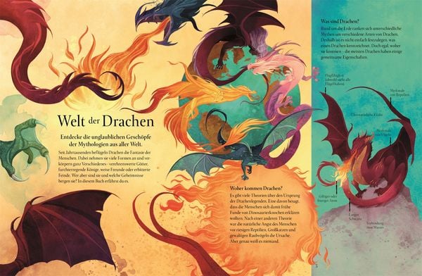 Produktbild: Magische Welt der Drachen