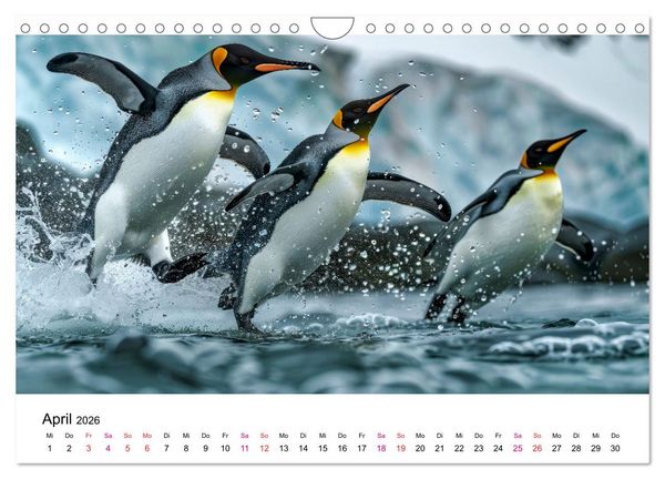 Produktbild: Maritim pur - Pinguine (Wandkalender 2026 DIN A4 quer), CALVENDO Monatskalender