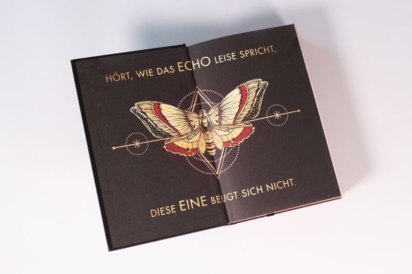 Produktbild: The Last One (Schicksalsber&Atilde;&frac14;hrt, Band 1)