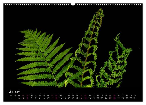 Produktbild: Ver&auml;ndertes (Wandkalender 2026 DIN A2 quer), CALVENDO Monatskalender