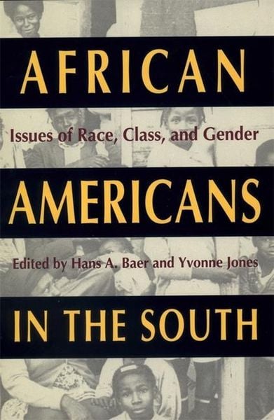 Produktbild: African Americans in the South